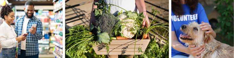 pictures of students shopping, gardenging and petting a dog